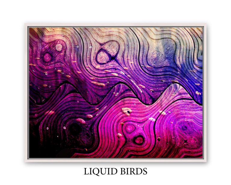 liquid_birds_matt_kurt_art