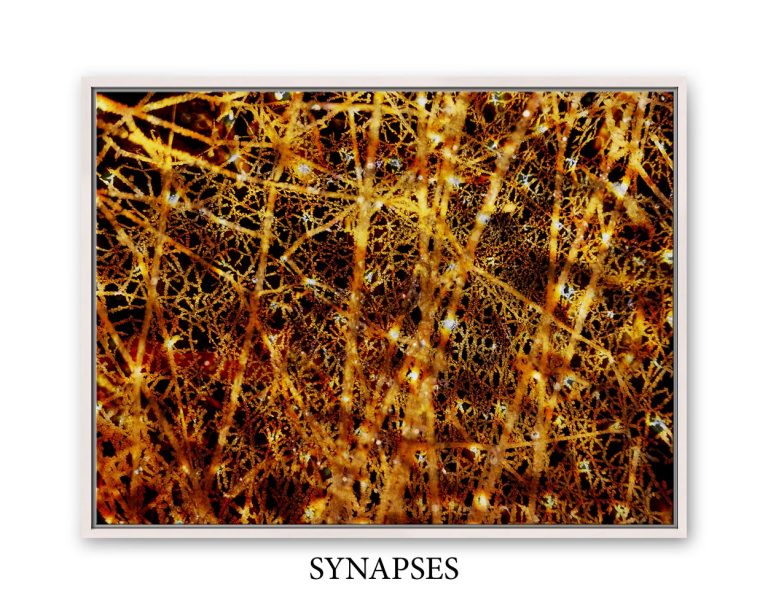synapses_matt_kurt_art